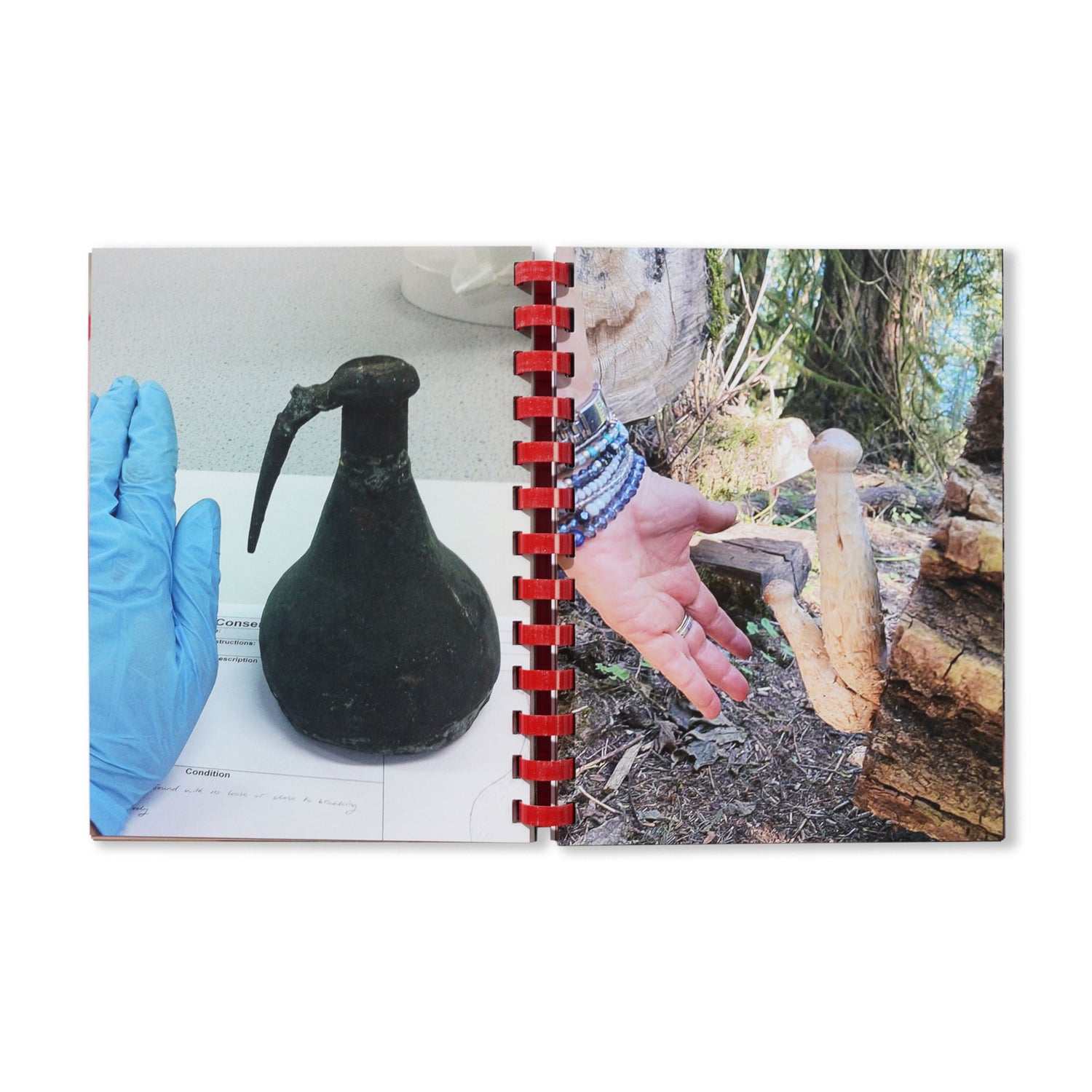 Hand For Scale - By Max Gravrich