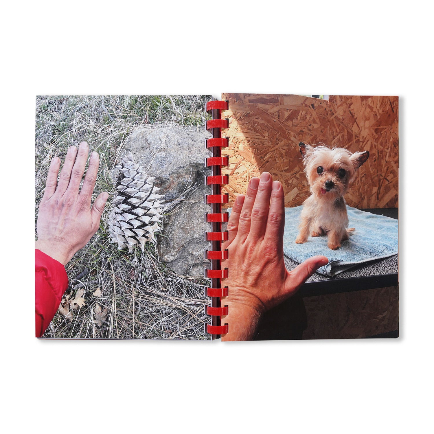 Hand For Scale - By Max Gravrich