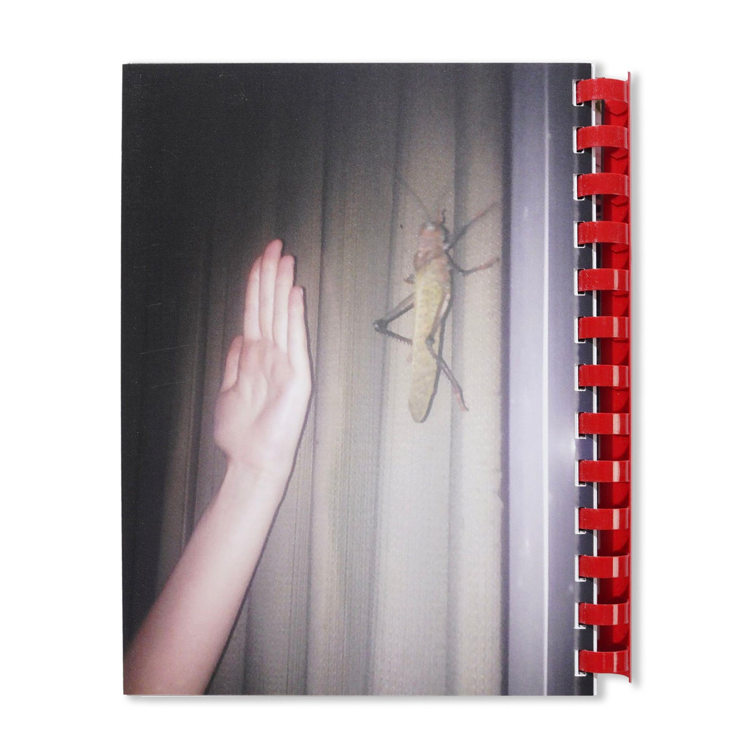 Hand For Scale - By Max Gravrich