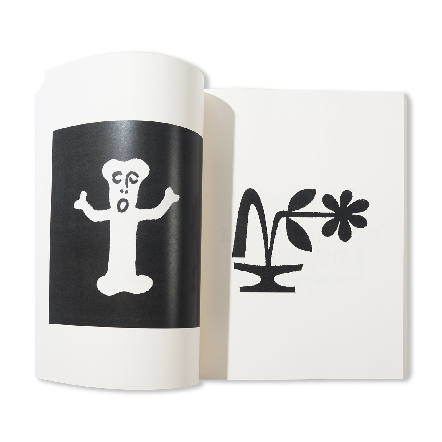 Xtra-Small - By James Paris