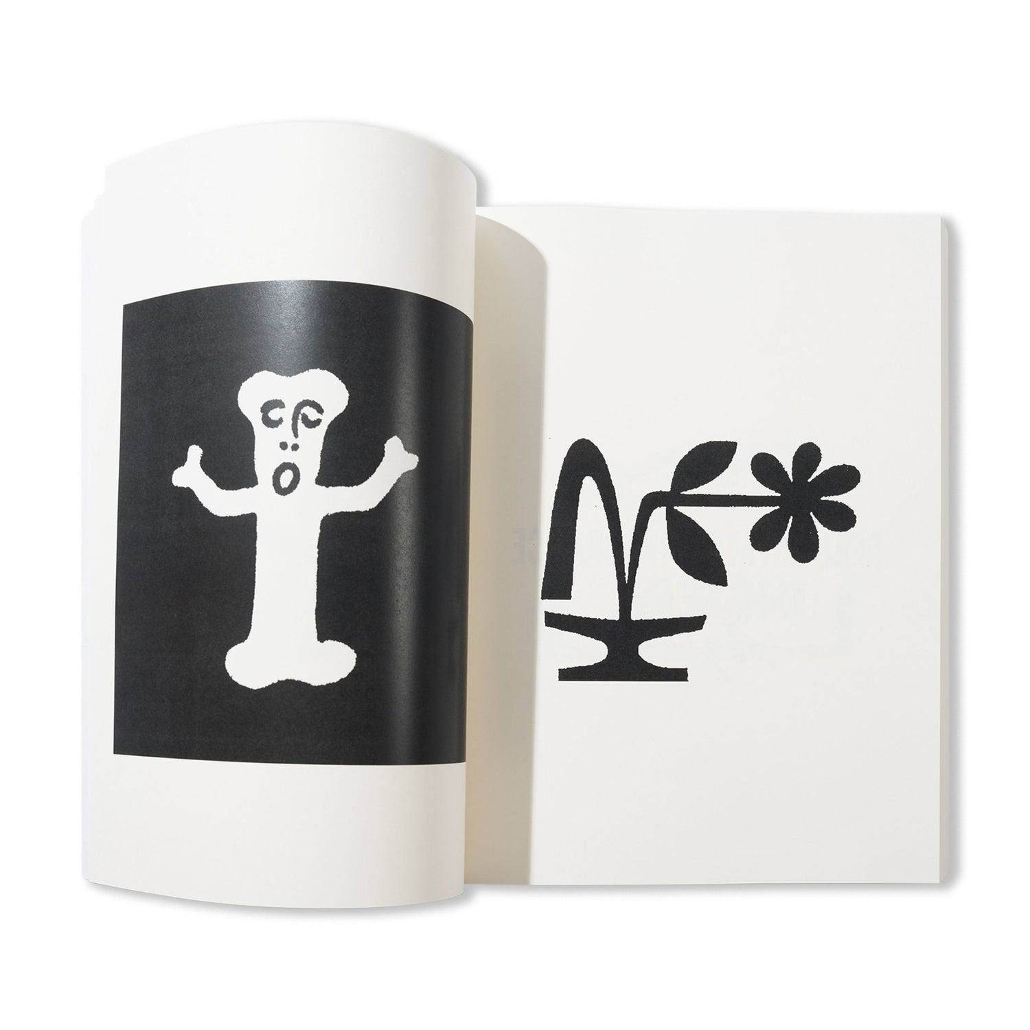 Xtra-Small - By James Paris