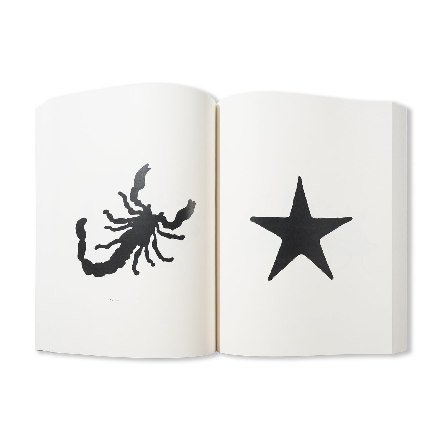 Xtra-Small - By James Paris