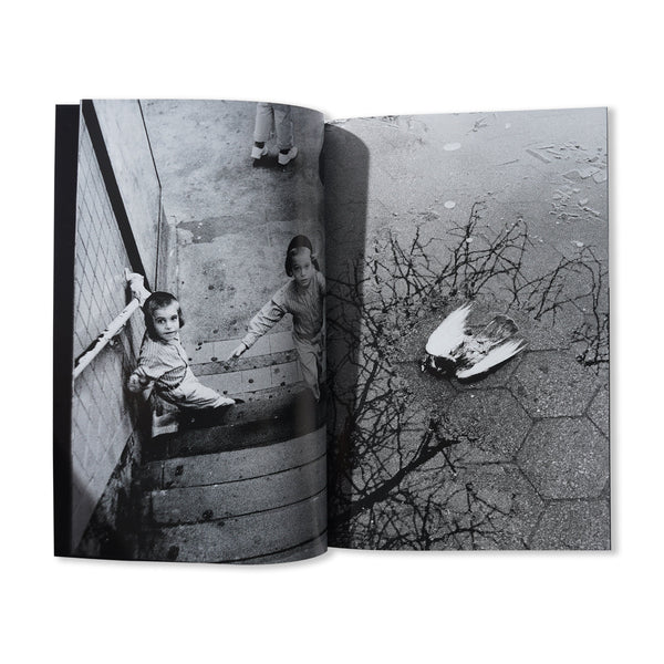 Living Proof Magazine New York Is Mine - By Boogie