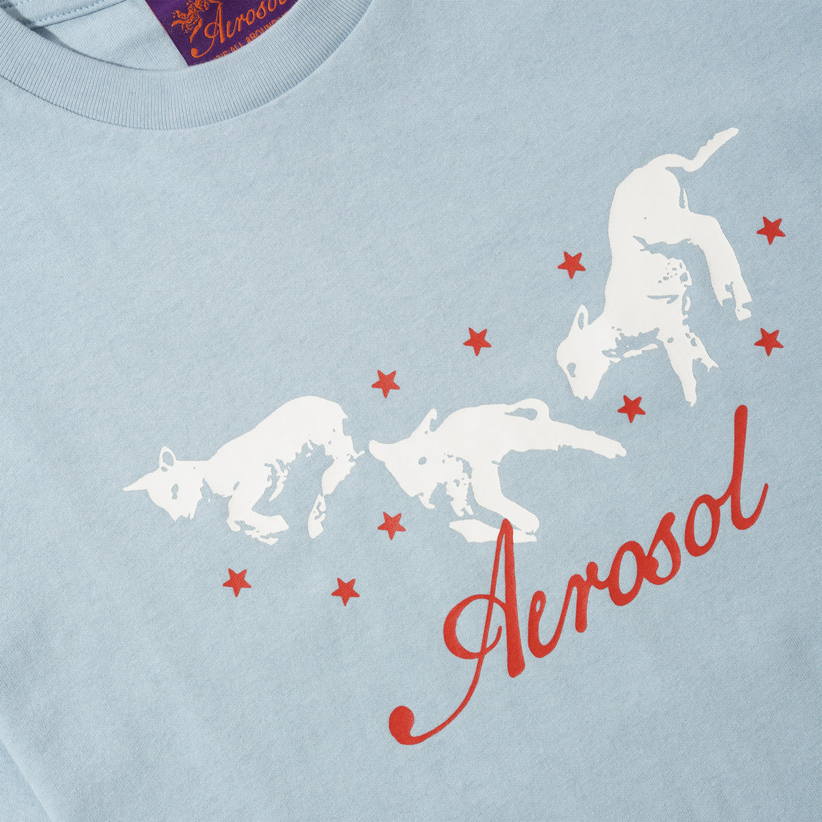 Frolic Tee, Baby Blue