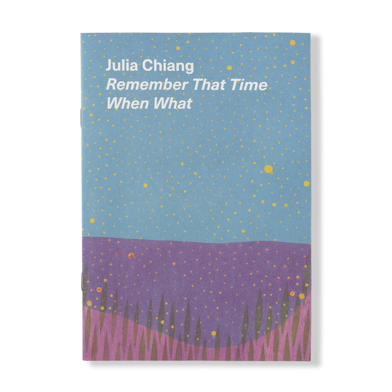 Julia Chiang 'Remember That Time When What' Zine