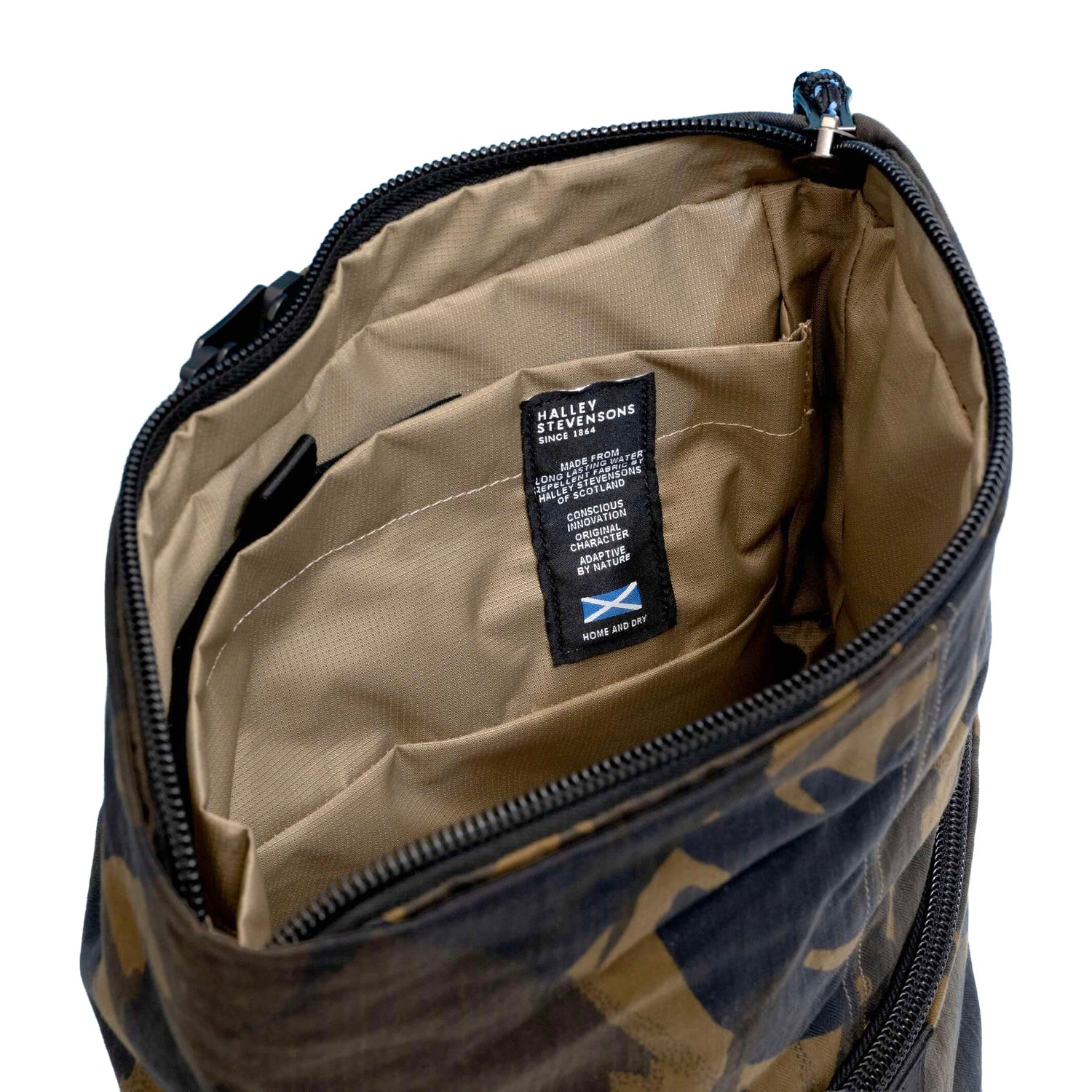 Chi Chi Day By Day, Kengo Camo