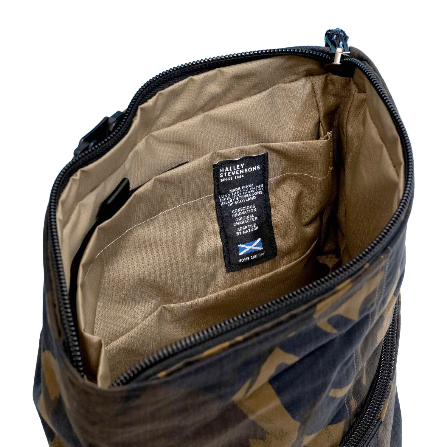 Chi Chi Month On Month, Kengo Camo