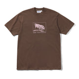 Fly Tee, Brown