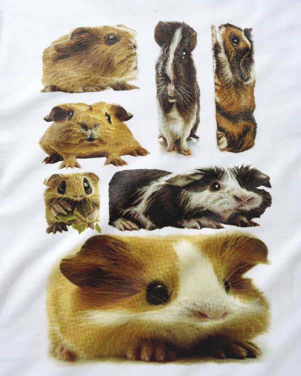Lo-Fi Guinea Pigs Tee, White