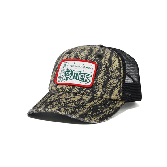 Pay Up Trucker Cap, Lowland Camo