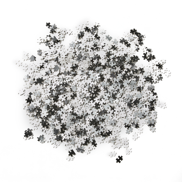 Polar Skate Co. Puzzle N.01