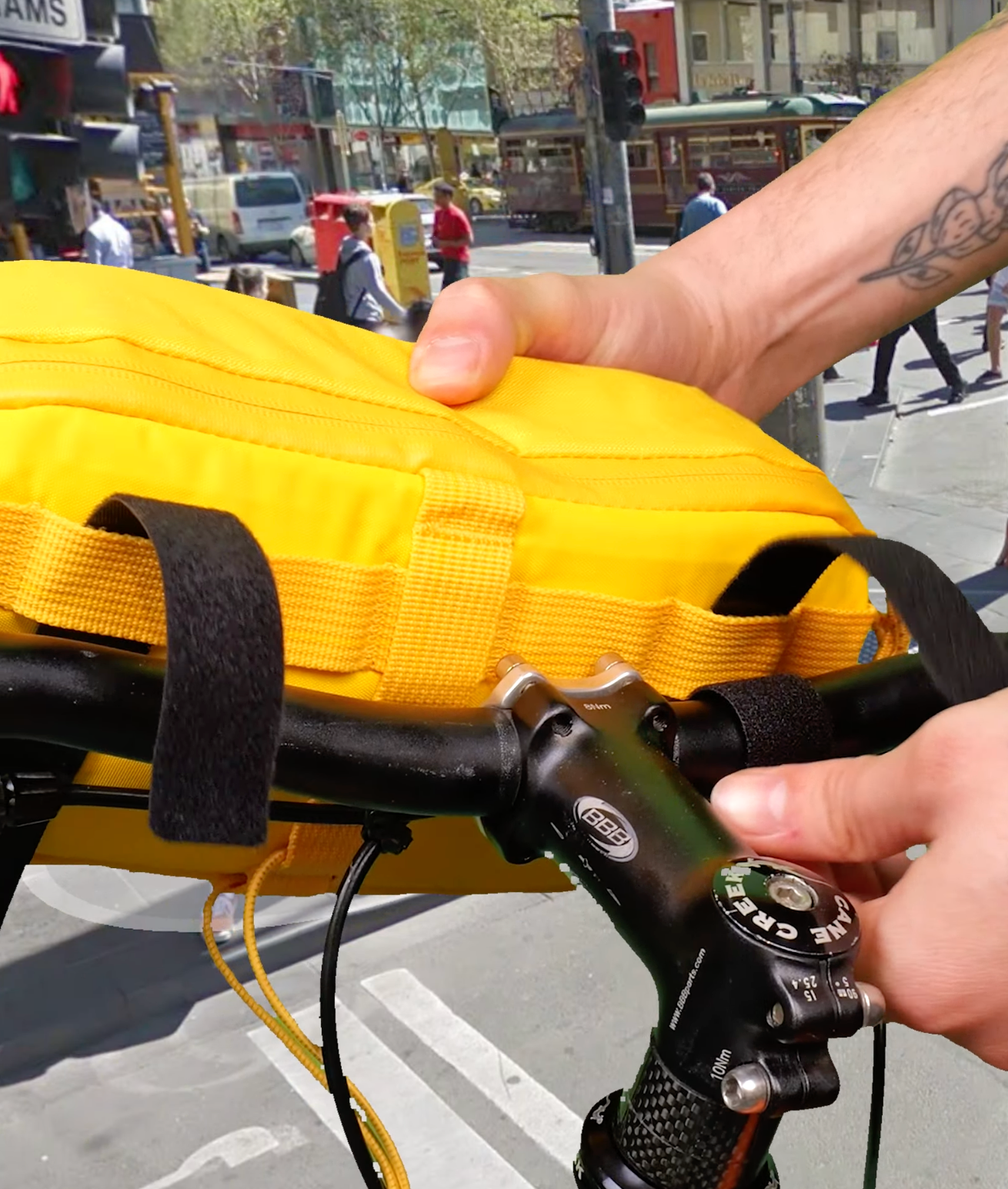 Fruiterer, Trek Green