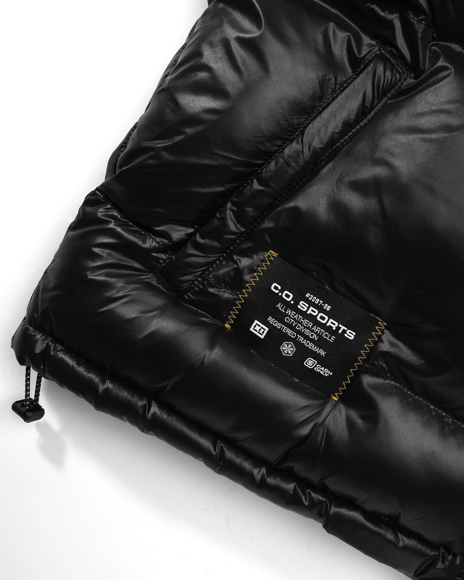 Shiny Logo Hooded Puffer Jacket, Black