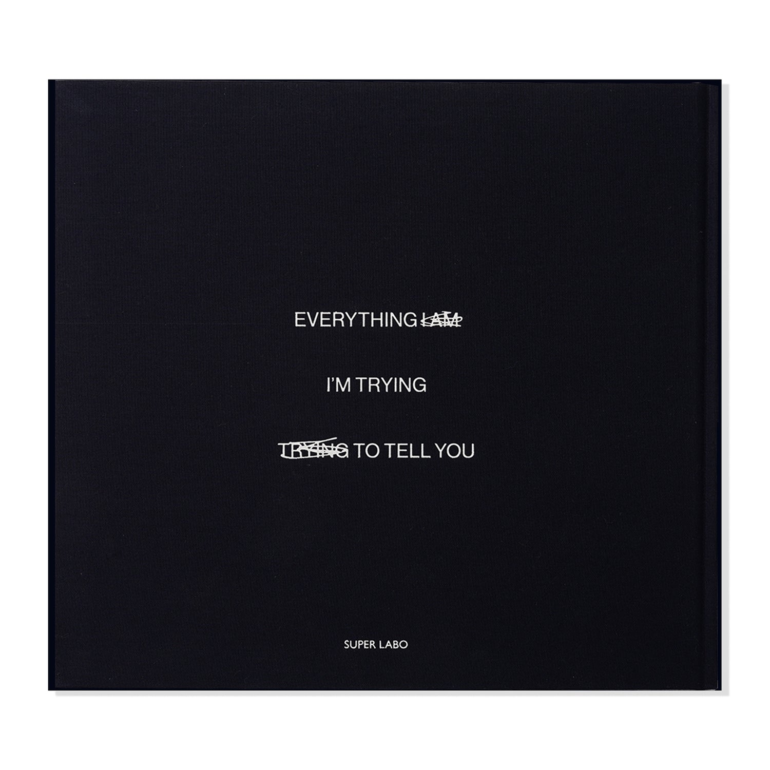 Everything I'm Trying To Tell You - Greg Hunt
