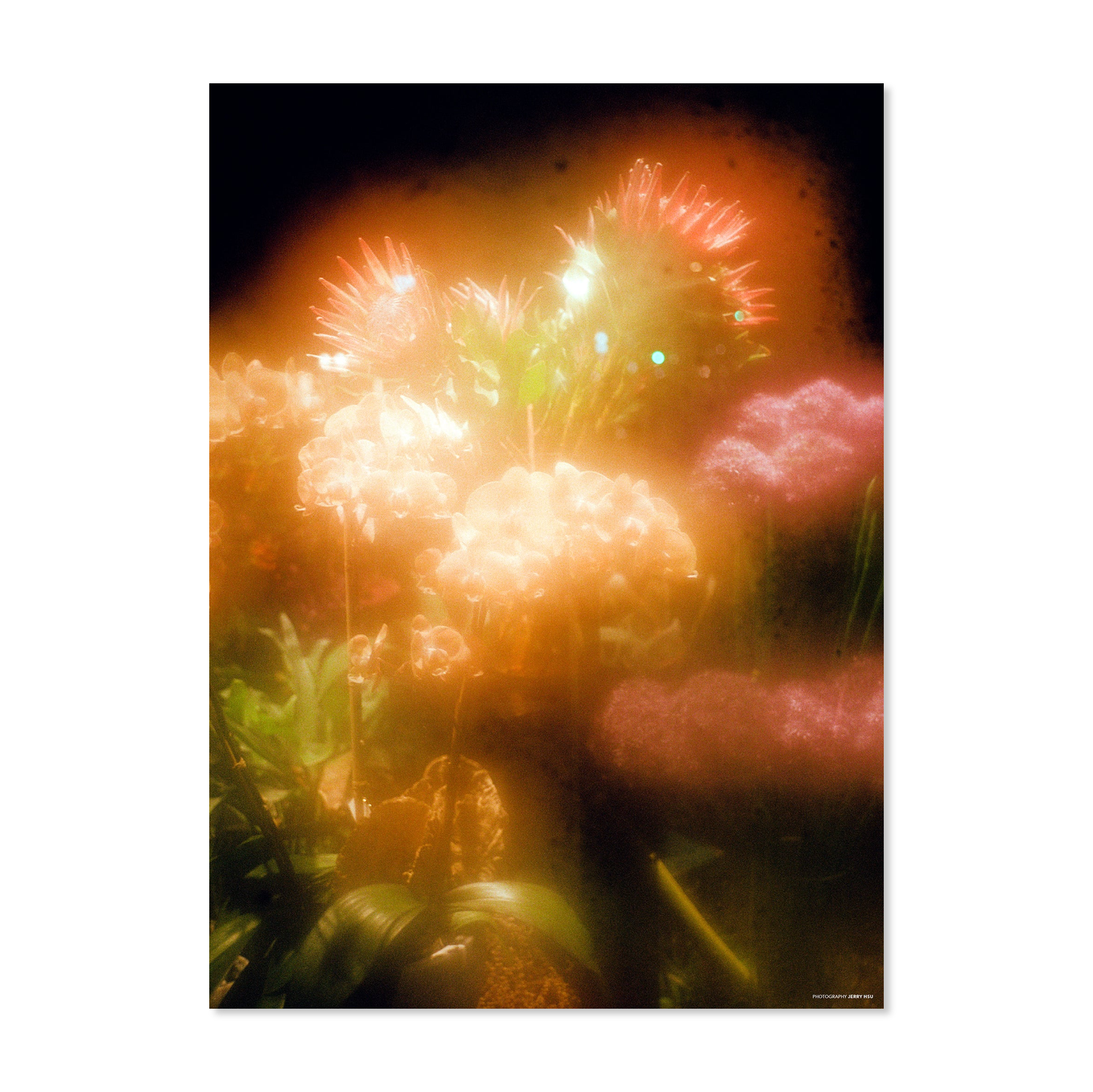 Sneeze Mag No. 66 - Holiday 2025