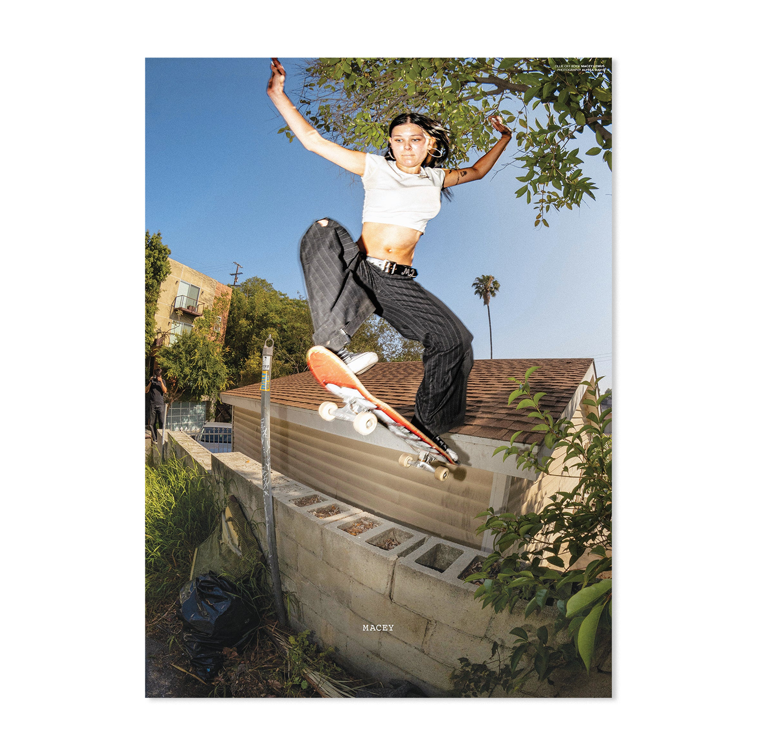 Sneeze Mag No. 68 - "The flow State Issue"