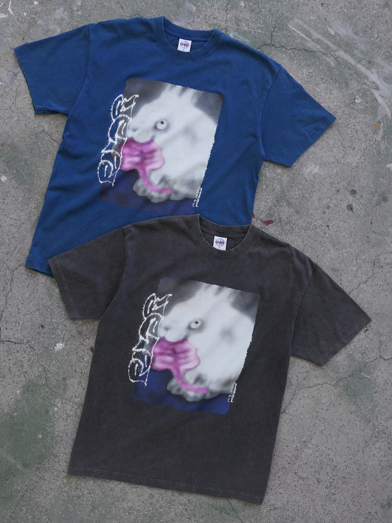 Polar Skate Co.