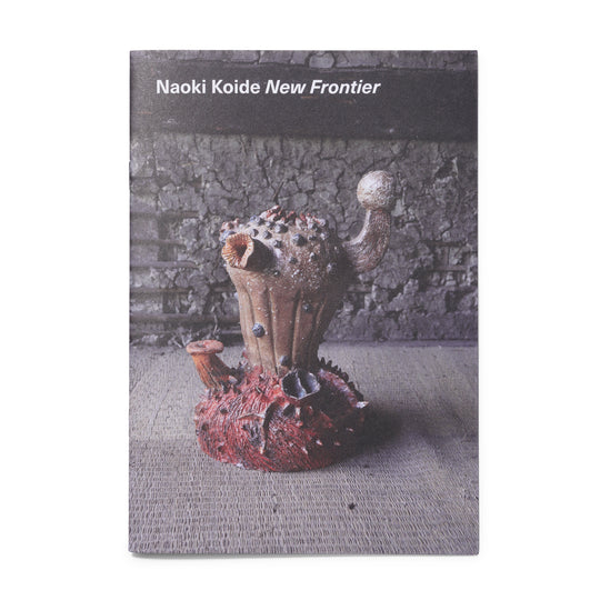 Naoki Koide - New Frontier Zine